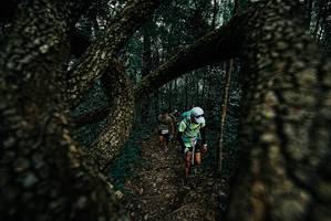 BIB: 
                            <button type="button" onclick="openModal(25692023)" class="btn btn-primary btn-sm float-right btn-popup" data-toggle="modal" data-target=".modal-high-quality">
                        <i class="fas fa-shopping-cart"></i> Add to Cart
                    </button>
                                            <button type="button" onclick="isThisMe(25692023, true)" class="btn btn-success btn-sm float-right btn-popup btn-isme hidden" data-toggle="tooltip" data-placement="bottom" title="นี่คือรูปของคุณใช่ไหม คลิกที่นี่เพื่อเอาเข้าอัลบั้ม">
                        <i class="fas fa-plus"></i> Add to album
                    </button>
                    <button type="button" onclick="isThisMe(25692023, false)" class="btn btn-warning btn-sm float-right btn-popup btn-isnotme hidden">
                        <i class="fas fa-ban"></i> Remove from album
                    </button>